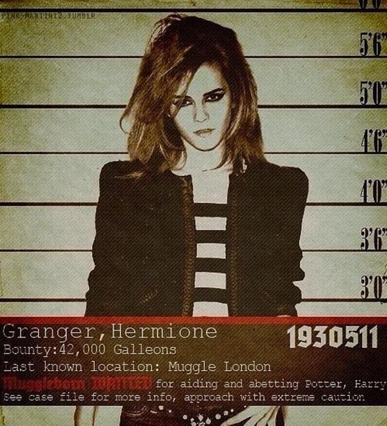 Hermione-Granger_1390499980